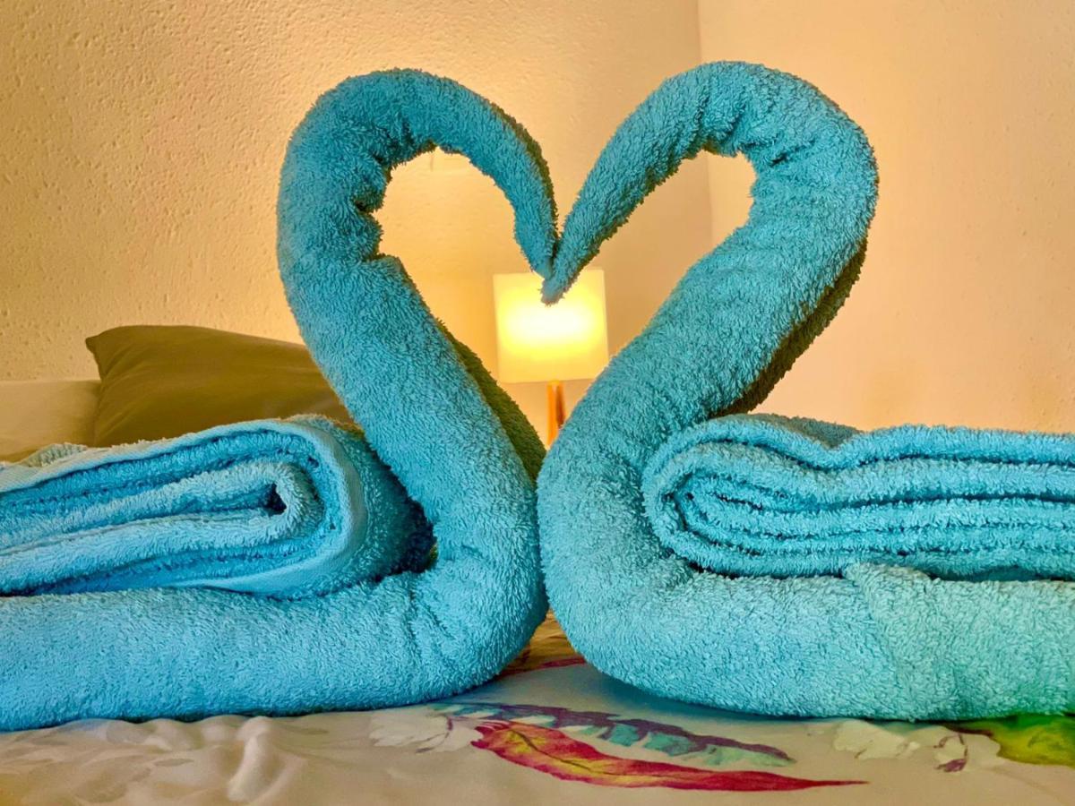 La Playa - L'Appartement Cozy - 2 A 5 Personnes Sainte-Anne  Εξωτερικό φωτογραφία